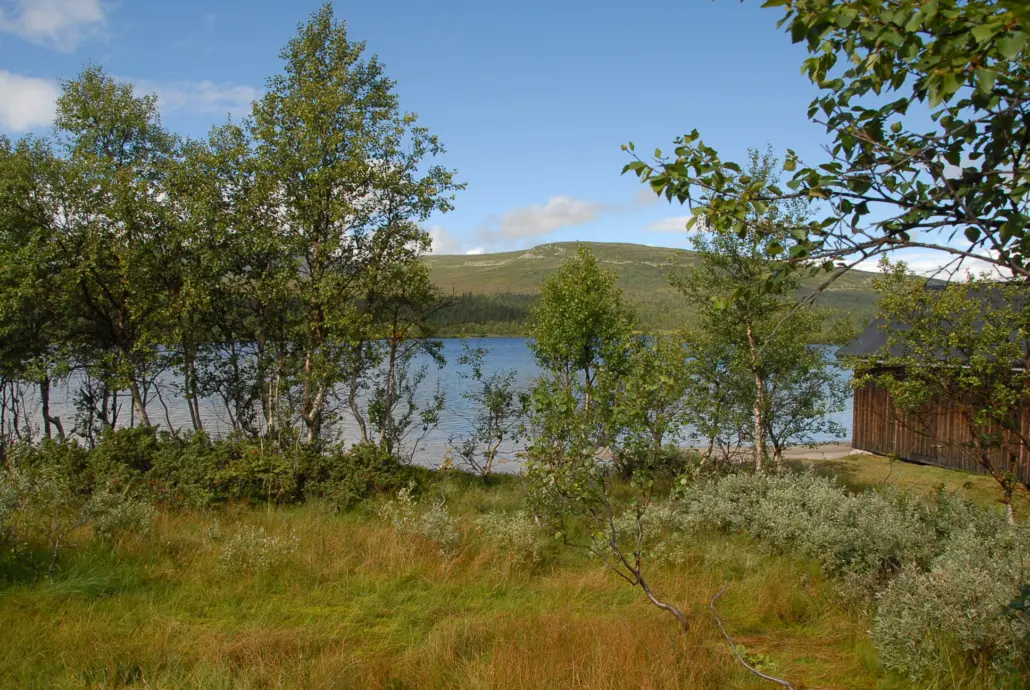 Säljguide bostad Norra Dalarna • Sälen