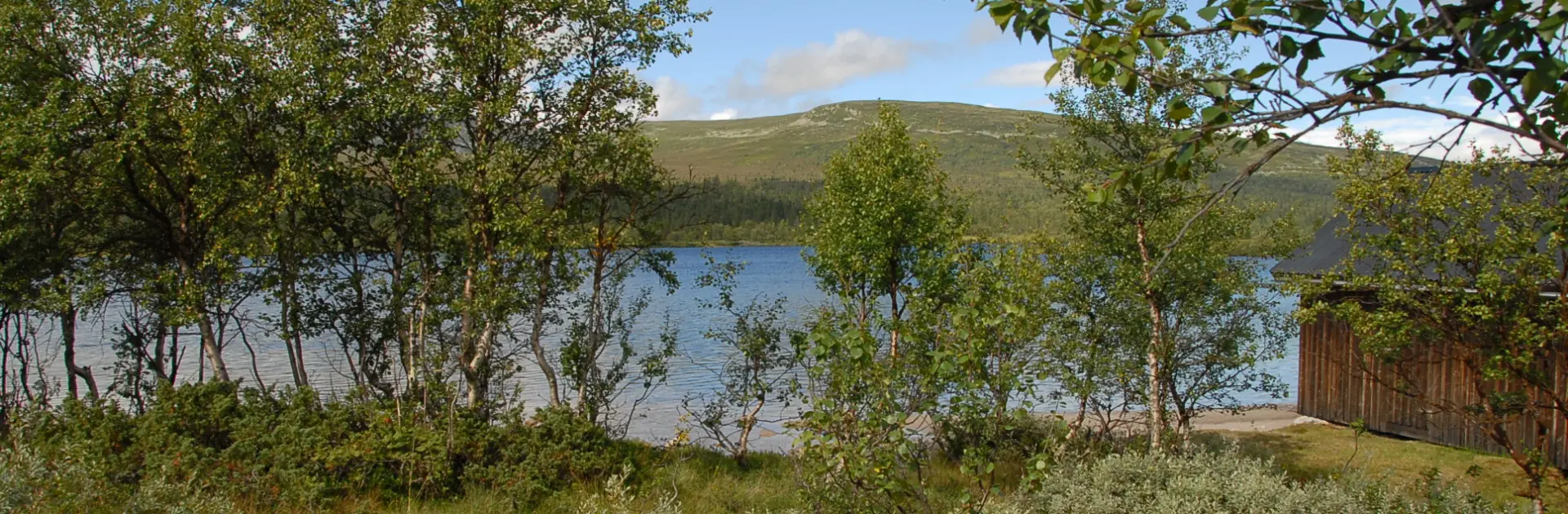 Säljguide bostad Norra Dalarna • Sälen