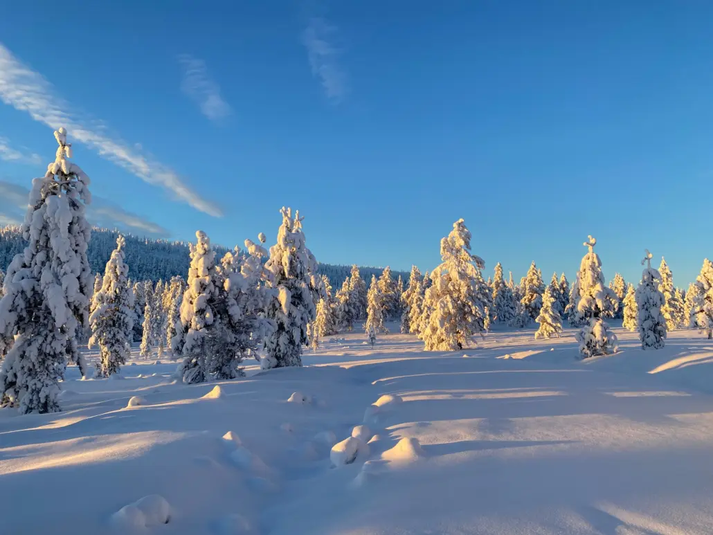 Vanliga frågor om bostäder till salu Norra Dalarna • Sälen