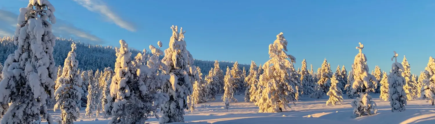 Vanliga frågor om bostäder till salu Norra Dalarna • Sälen Vanliga frågor om bostäder till salu Norra Dalarna • Sälen
