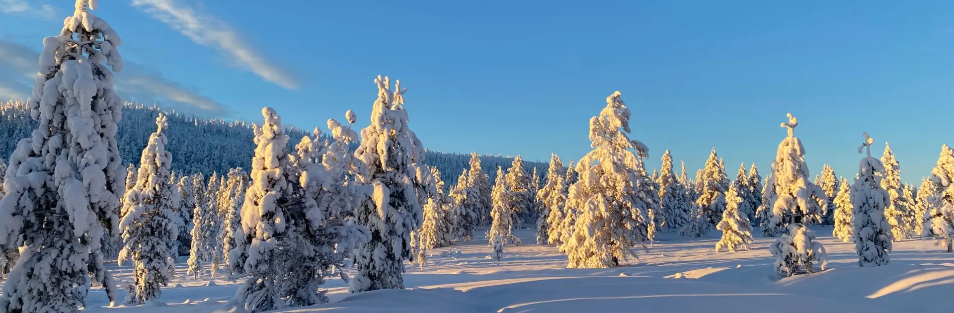 Vanliga frågor om bostäder till salu Norra Dalarna • Sälen